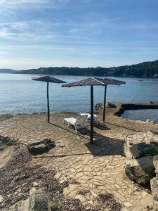 WhatsApp Image 2023-10-04 at 10.17.39 (2)