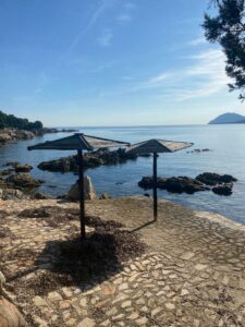 WhatsApp Image 2023-10-04 at 10.17.39 (4)