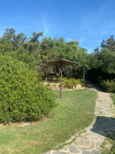 WhatsApp Image 2023-10-04 at 10.18.42