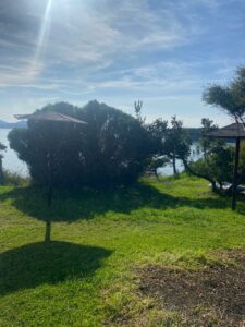 WhatsApp Image 2023-10-04 at 10.18.43